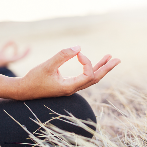 Buddhist Hand sacred gesture mudra meditation 