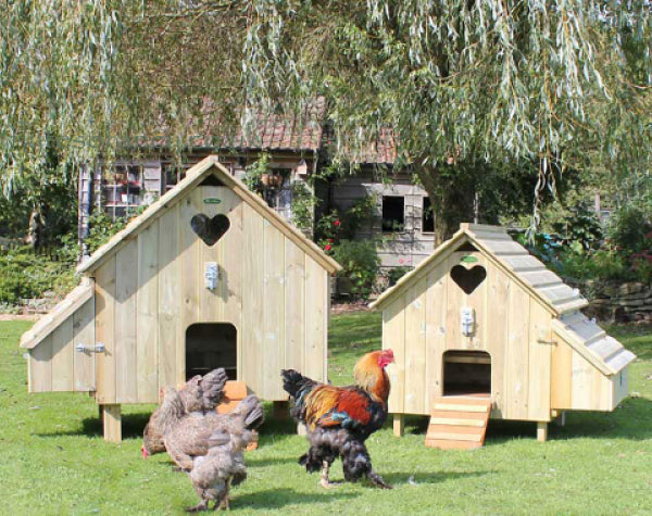 Chickens & Housing - FAQ Flyte so Fancy