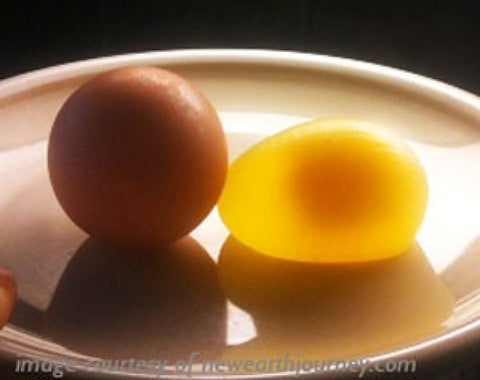 Egg without shell
