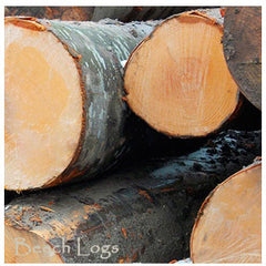 Beech Logs