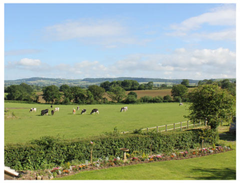 Flyte so Fancy's view of the Blackmore Vale