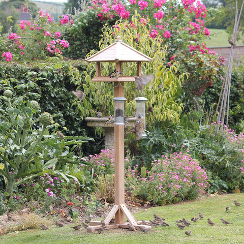 Garden Birds at Flyte so Fancy