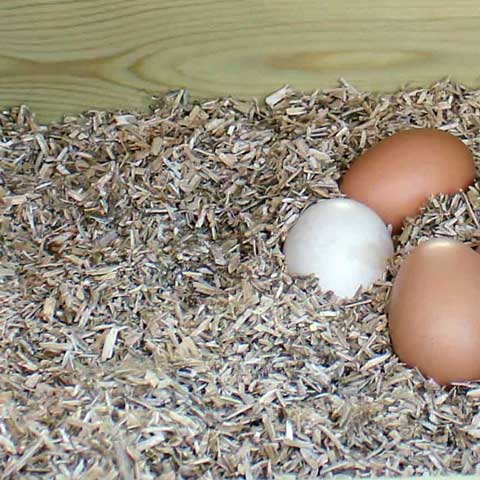 Hemp Bedding inside the Coop