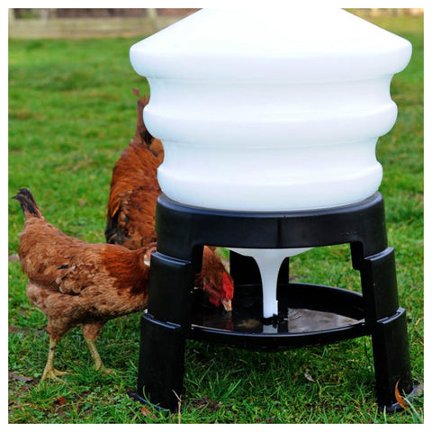 Honeypot Tripod Drinker with hens