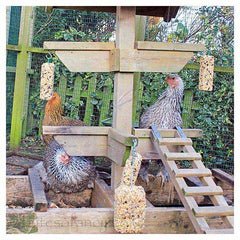 Jungle Gym for Chicken Entertainment