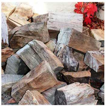 Pile of Firewood Logs