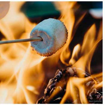 Toasting Marshmallows