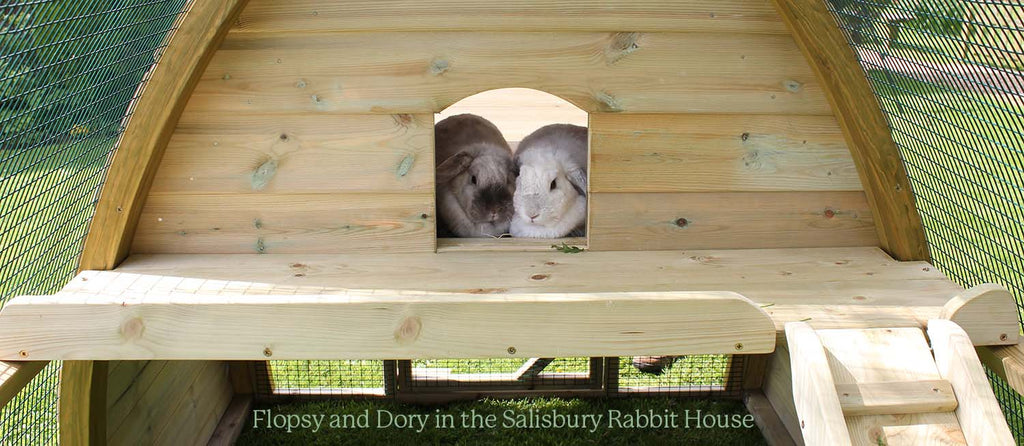 Flopsy and Dorey in their Rabbit House