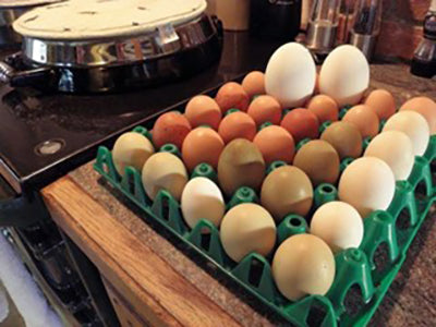 Tray of many different eggs