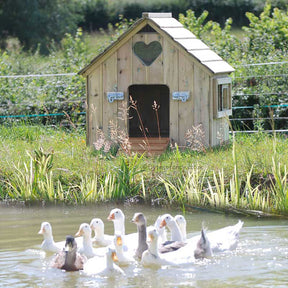 Classic Duck House | Waterfowl Houses & Poultry Housing