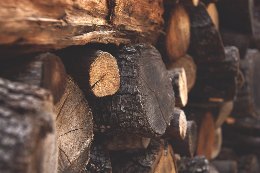 Holzstämme für die Furnierholzverarbeitung