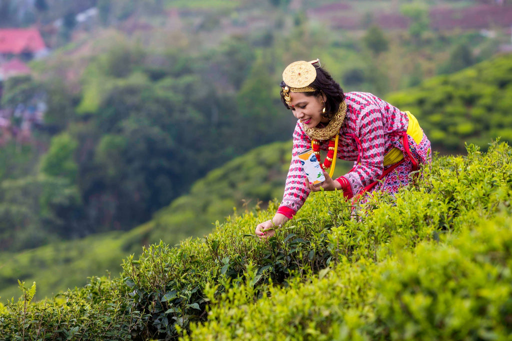 Nepal-Loose- Leaf-Tea