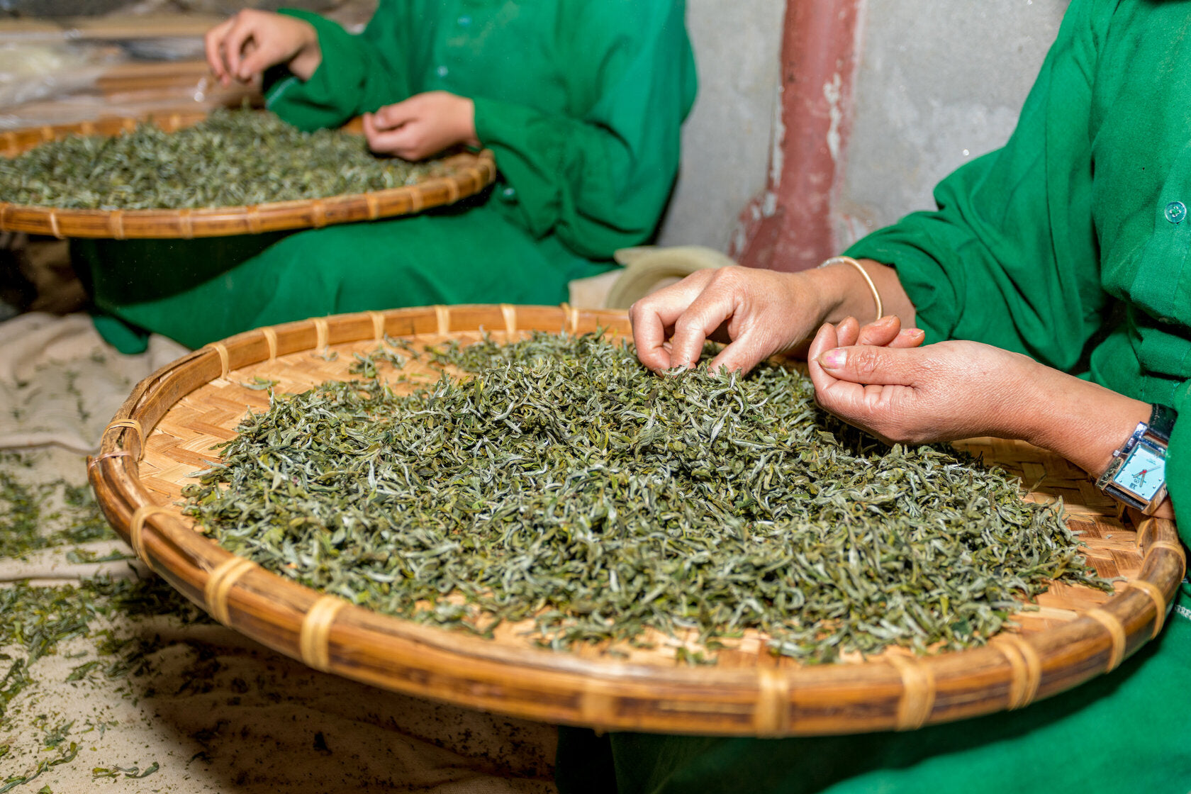 nepal-world-finest-teas