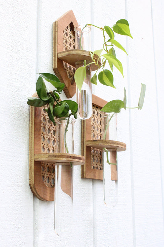 Magnetic Propagation Wall Hanging – Dunn Rustic