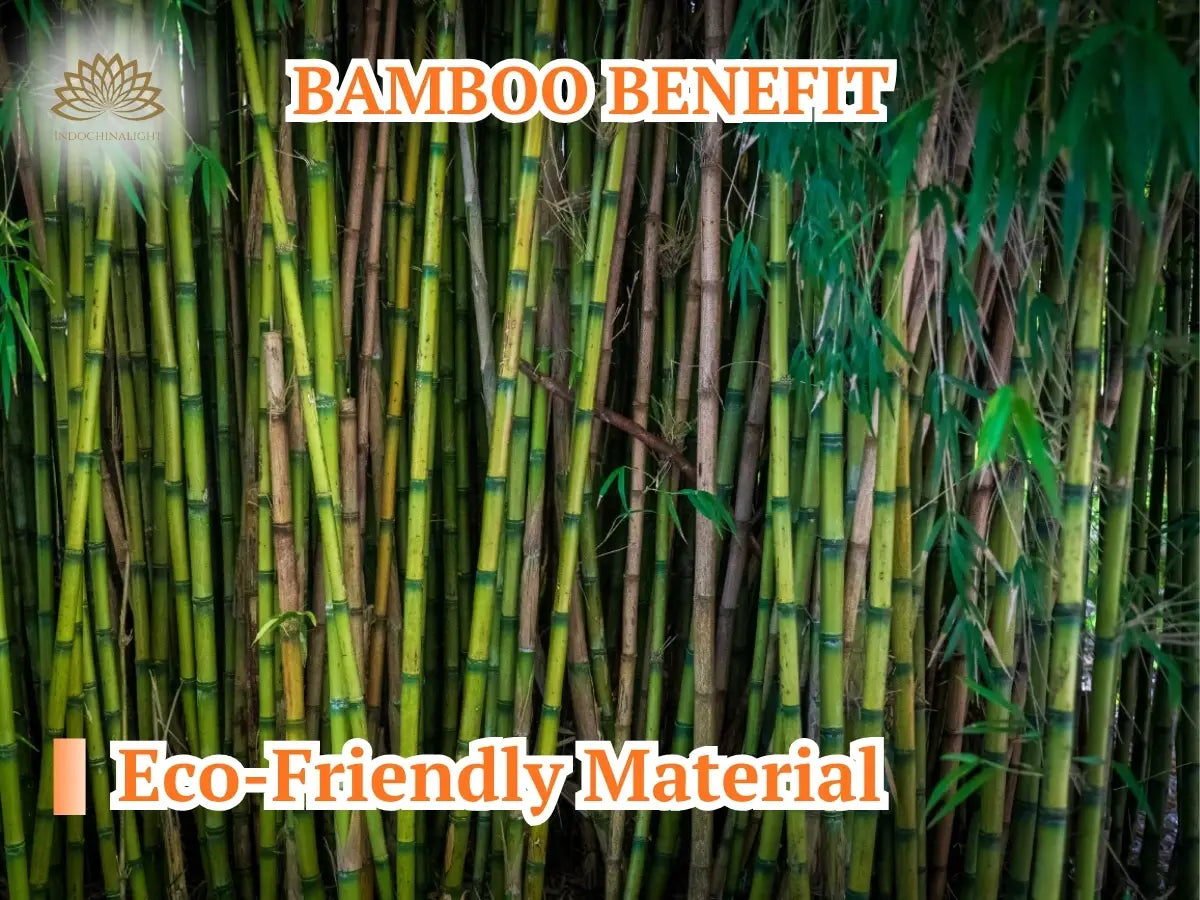 Bamboo is the Eco-Friendly material