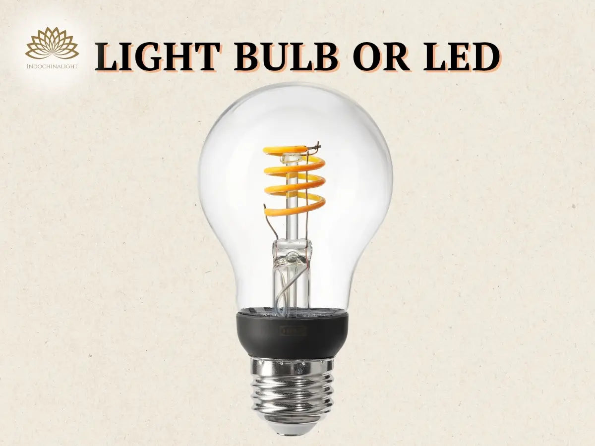 Bulb of a light fixture