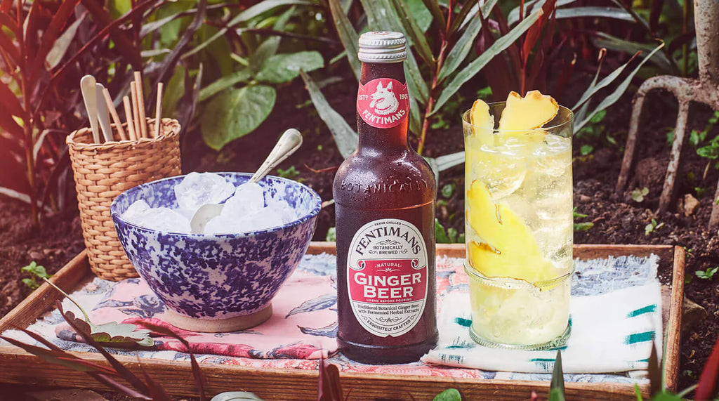 illustration of a bottle of non-alcoholic Fentimans Ginger Beer with a cocktail | COCKTAIL HOUSE