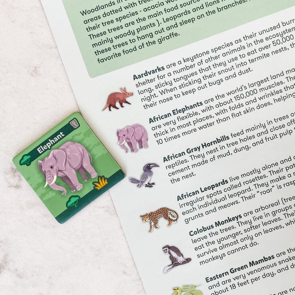 Ecology Board Game- SavannaScapes- Board Game to learn about ecology on the Serengeti Mara