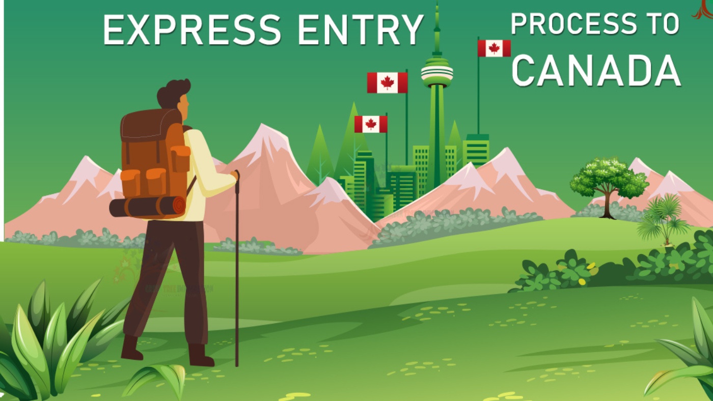How Can I Apply for Express Entry