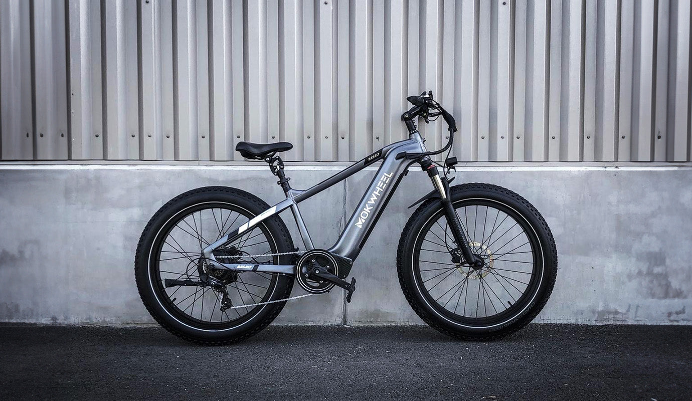 Mokwheel Basalt electric bike