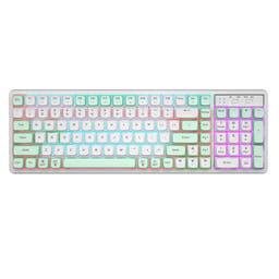 ACGAM GK102 Full Size Mechanical Keyboard