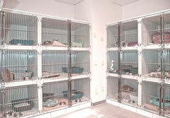 Schlievet modulare Käfige für Tiere. Hier im Tierheim Augsburg.