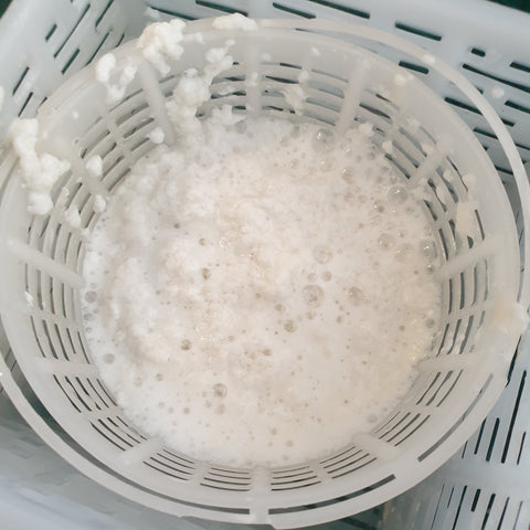 Ricotta draining 