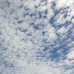 Airy clouds in blue sky