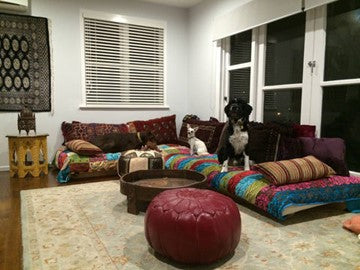 How to choose a rug colour – dog standing on a couch, with a rug underneath