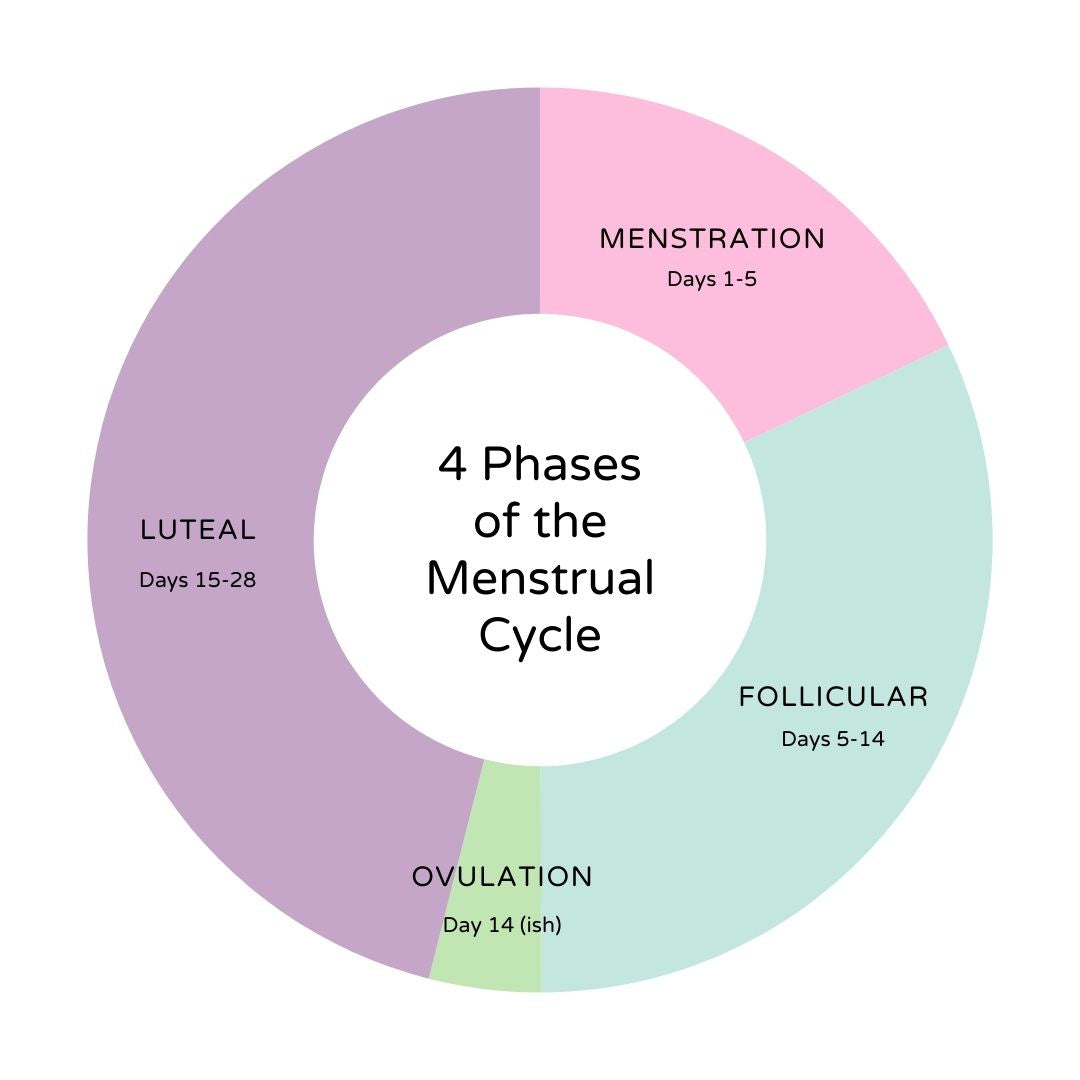 4 phases of the menstrual cycle