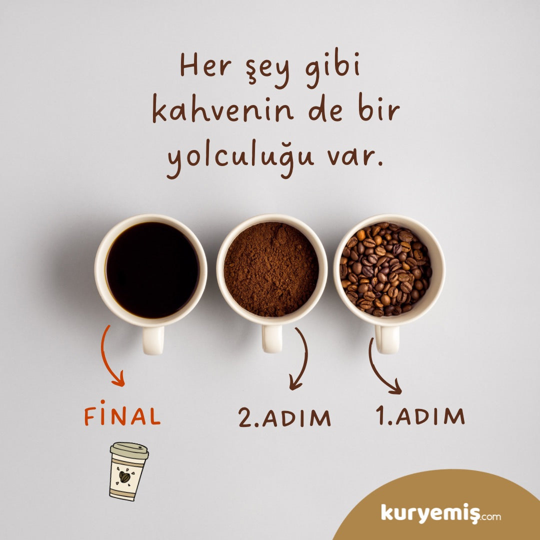 Kahvenin Üretim aşamasından içme keyfine yolculuk