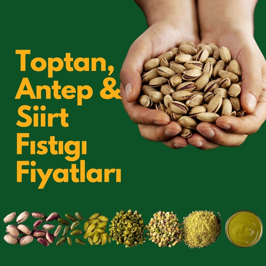 Toptan Antep ve Siirt Fıstığı Fiyatları 2024