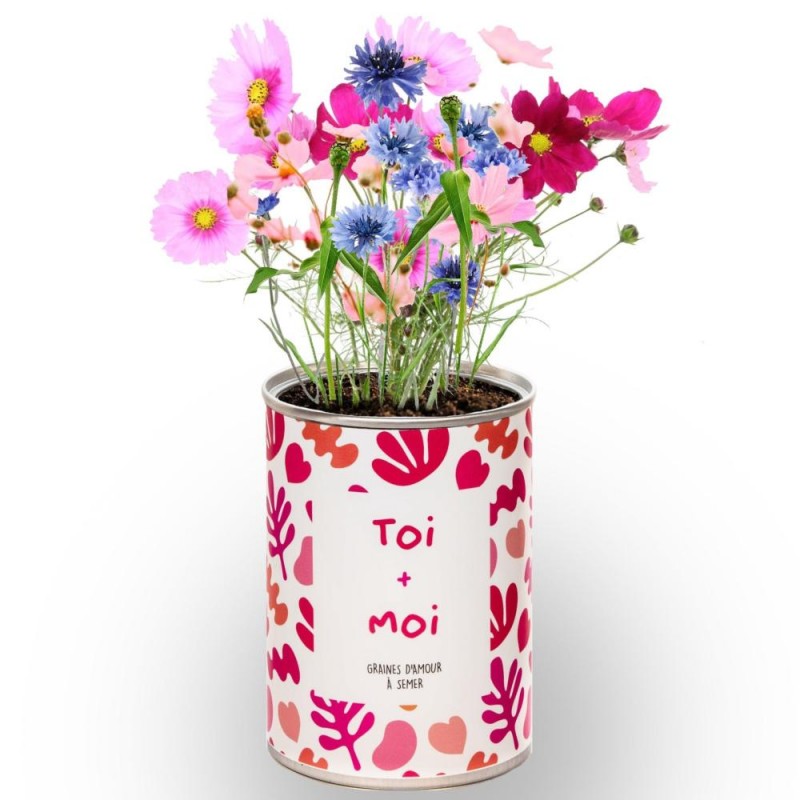 Kit à planter toi + moi Mauvaises Graines idée cadeau saint