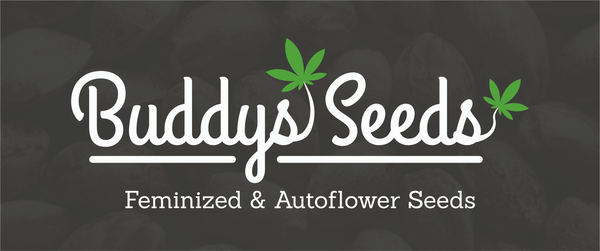 Buddys Seeds