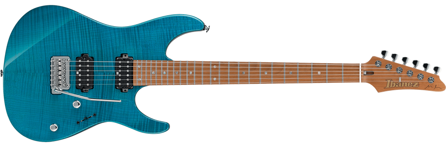 Guitar with HH pickups