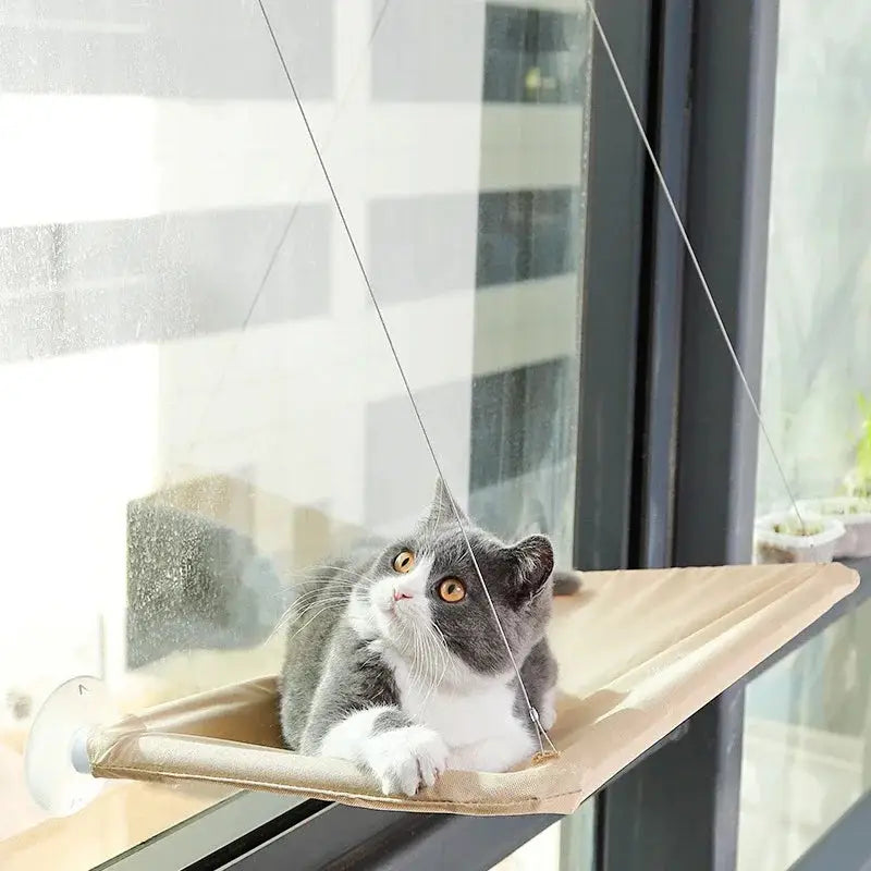 Cat relaxing in a stylish and comfortable hammock bed.