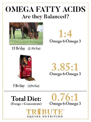 Simple Equine Protein Calculations