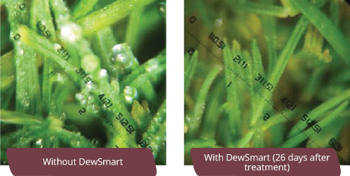 With and without DewSmart application
