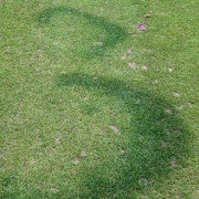 Type Two Fairy Rings controlled by Heritage Maxx