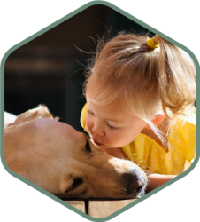 MossOff is Safe for Pets & Children