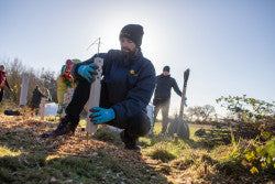 How to set up tree guards