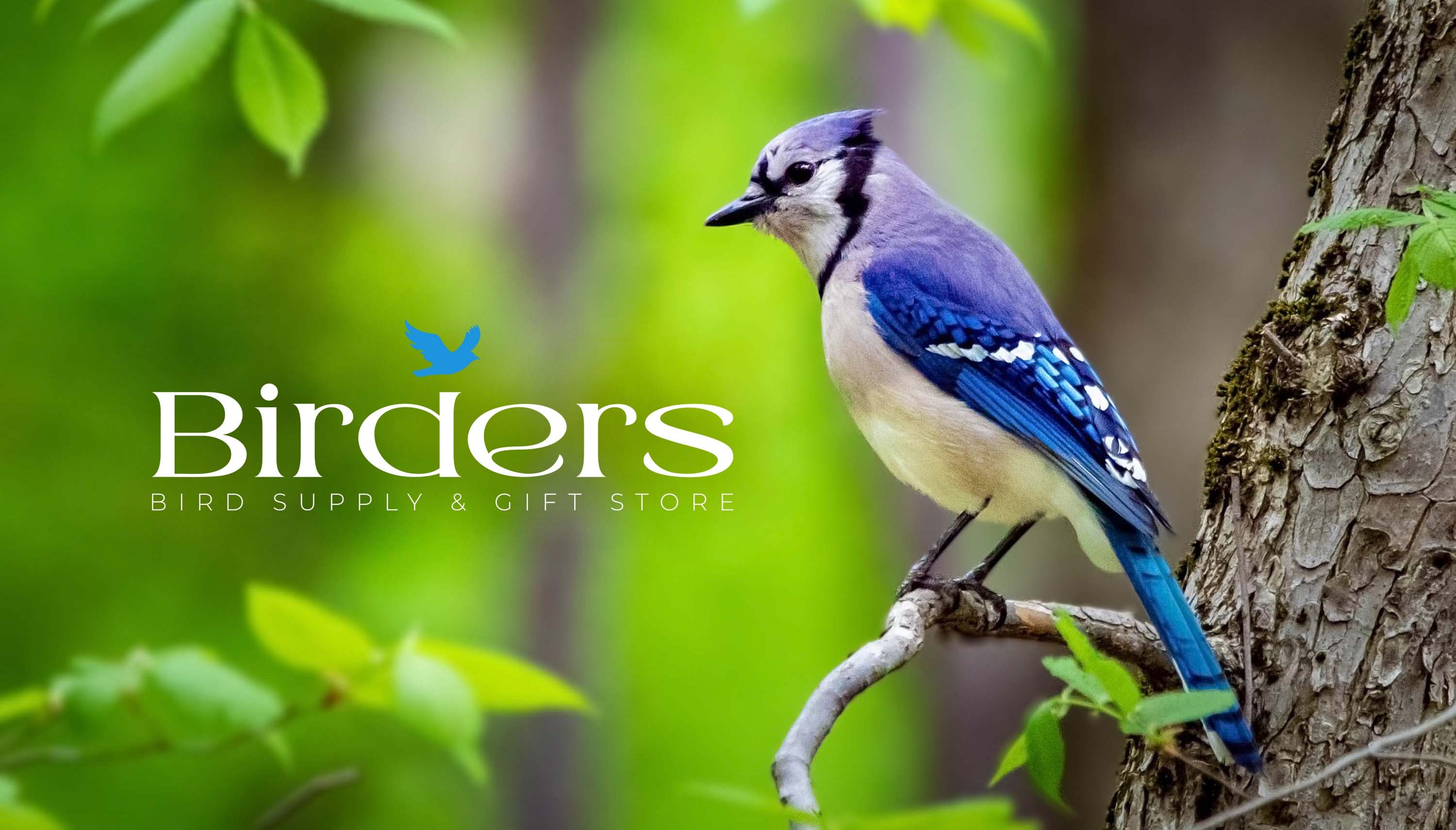 Birders Bird Supply & Gift Store