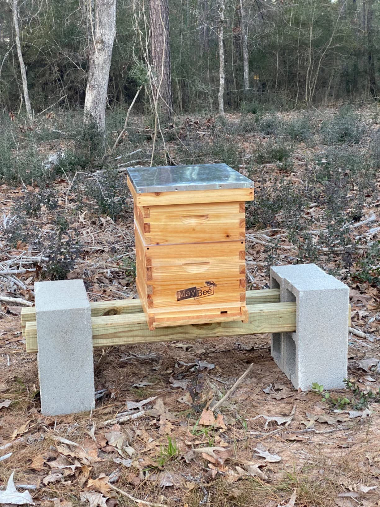 ☆最安値に挑戦 モリコー 店10-Frame Bee Hives and Supplies Starter Kit,Beehive Kit  Dipped in 100% Beeswax,Bee Keeping Supplies-All Beginners Includes  Beekeeping ＿並行輸入品