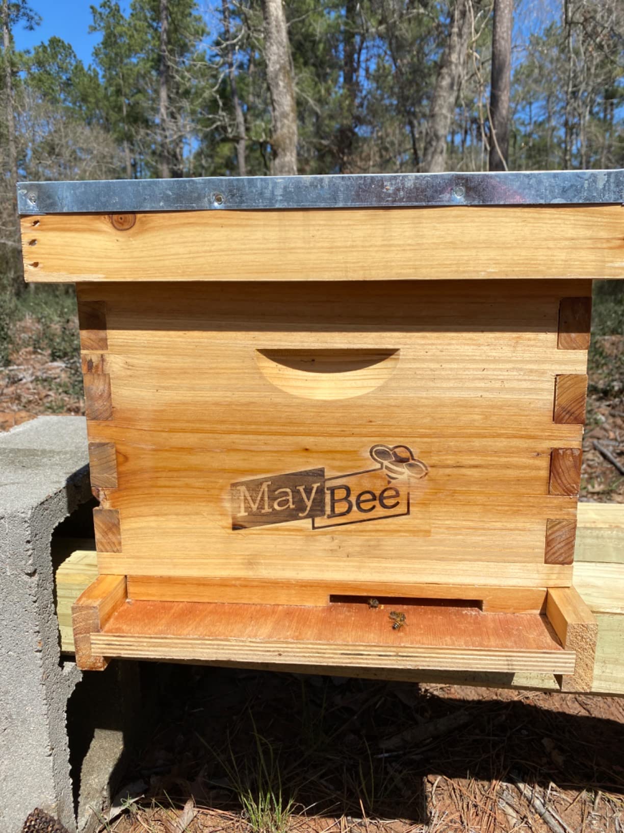 ☆最安値に挑戦 モリコー 店10-Frame Bee Hives and Supplies Starter Kit,Beehive Kit  Dipped in 100% Beeswax,Bee Keeping Supplies-All Beginners Includes  Beekeeping ＿並行輸入品