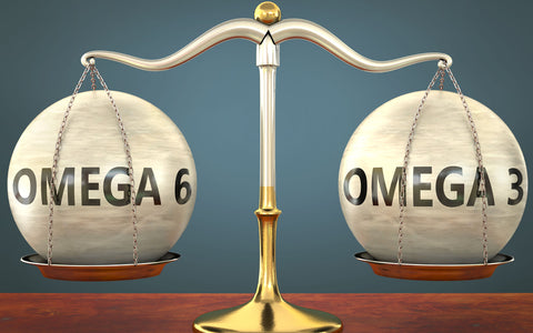 Omega 3 vs. Omega 6