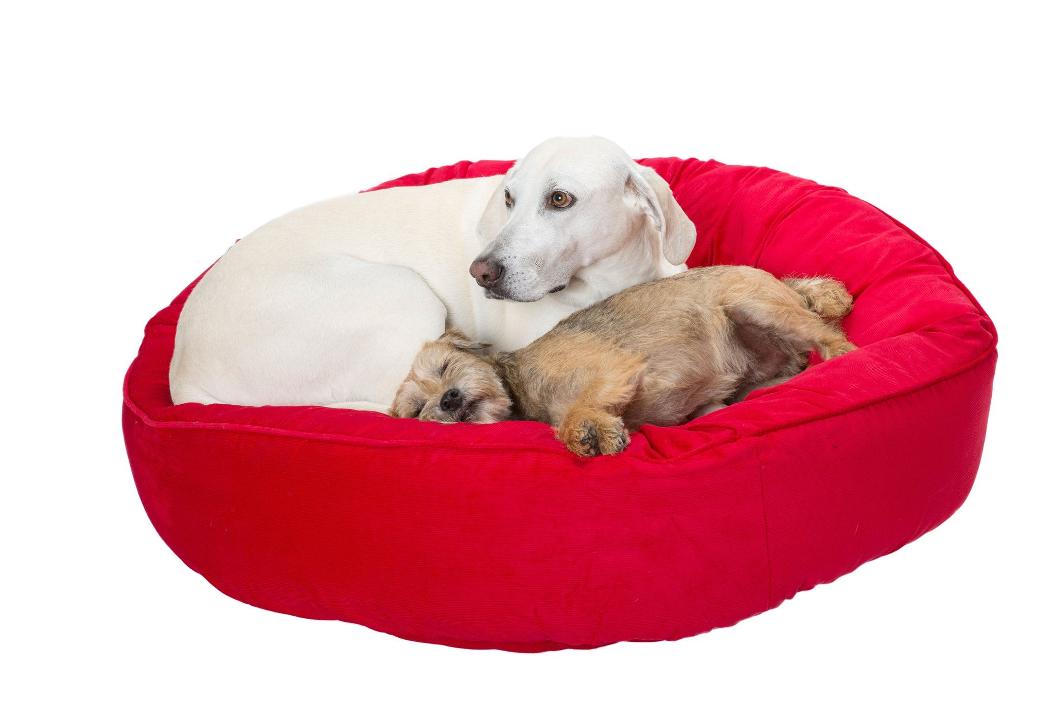 luxury pet beds