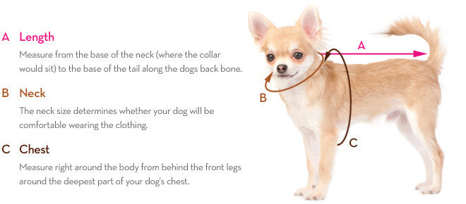 how do you measure a dogs back