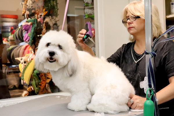 Stylish Grooming Apparel for Pet Groomers and Hairstylists