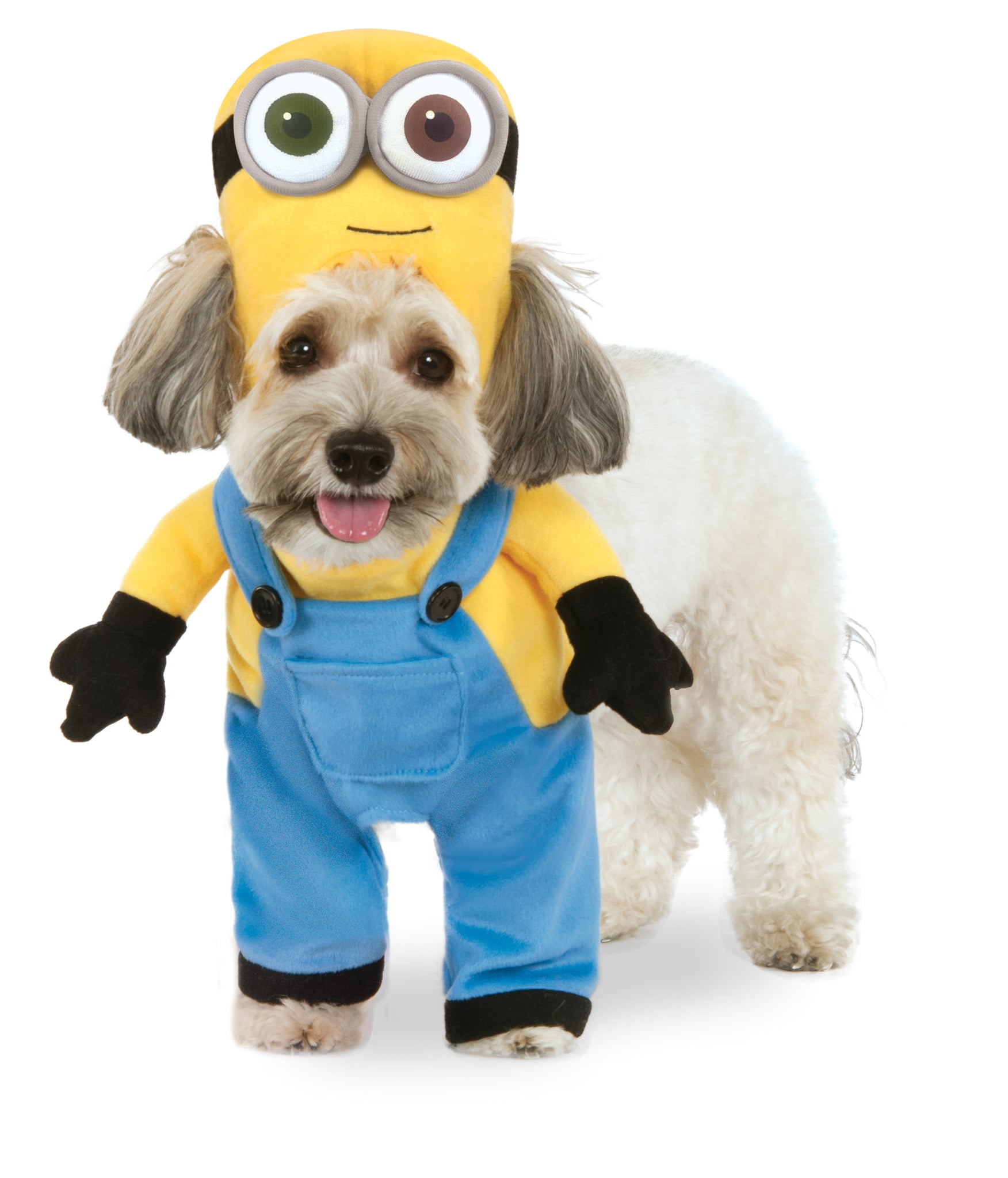 Dog Halloween Costumes | Minion Bob – Canine Styles