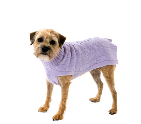 Petego La Cinopelca Elegance Tubular Dog Harness, Monogrammed, Beige, Small